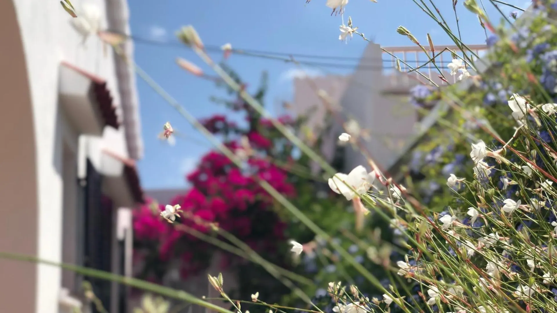 Habitacion Con Bano Y Jardin Privado En Casa Tipica Ciutadella Centro Ciutadella (Menorca)