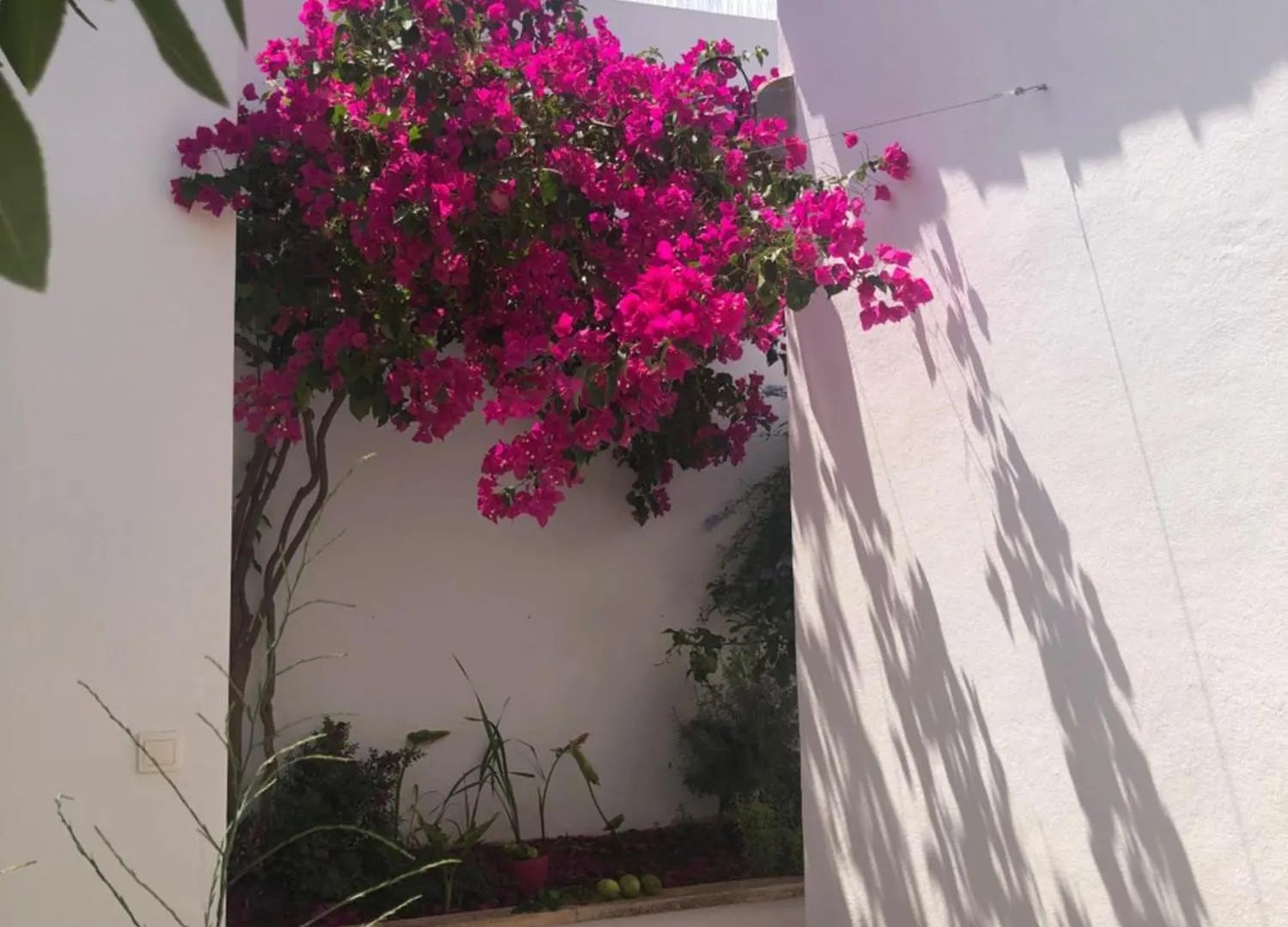 Habitacion Con Bano Y Jardin Privado En Casa Tipica Ciutadella Centro Séjour chez l'habitant Ciutadella (Menorca)