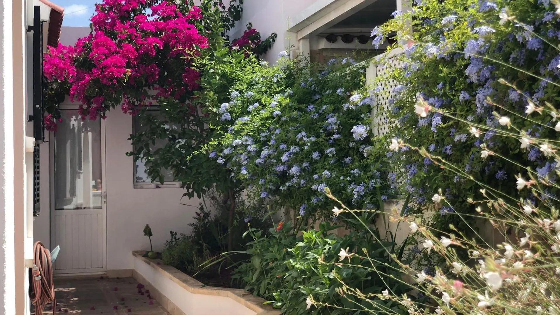 Habitacion Con Bano Y Jardin Privado En Casa Tipica Ciutadella Centro 0*, Ciutadella (Menorca) Espagne